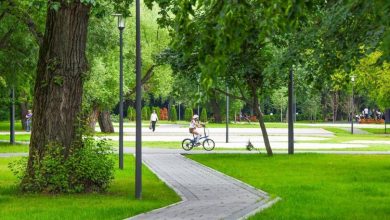 Фото - В московском парке Дружбы выставлены на торги два мобильных торговых объекта